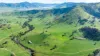 Koetong Creek Track, Bungil, Vic 3691-Image