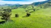 Koetong Creek Track, Bungil, Vic 3691-Image