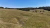 L35 Blacks Road, Dalrymple Heights QLD 4757-Image