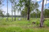 L4 128 Glen Echo Road, Glen Echo, Qld 4570
