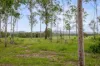 L4 128 Glen Echo Road, Glen Echo, Qld 4570-Image