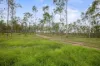 L4 128 Glen Echo Road, Glen Echo, Qld 4570-Image