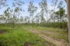 L4 128 Glen Echo Road, Glen Echo, Qld 4570-Image