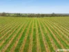 L703, Cnr CRogers & Wynns Road, Flaxman Valley, SA 5235-Image