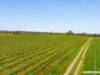 L703, Cnr CRogers & Wynns Road, Flaxman Valley, SA 5235-Image