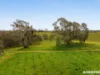 L703, Cnr CRogers & Wynns Road, Flaxman Valley, SA 5235-Image