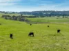 Lot 1, 1660 Edith Road, Oberon, NSW 2787-Image
