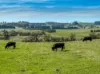 Lot 1, 1660 Edith Road, Oberon, NSW 2787-Image
