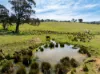 Lot 1, 1660 Edith Road, Oberon, NSW 2787-Image
