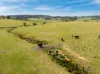 Lot 1, 1660 Edith Road, Oberon, NSW 2787-Image