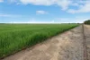 Lot 1/584 Godwins Road, Berriwillock VIC 3531-Image
