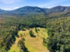 Lot 1 & 67, Crawford River NSW 2423-Image