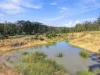 Lot 1 & 67, Crawford River NSW 2423-Image