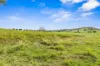Lot 1 Fitzpatrick Road, Jones Hill, Qld 4570-Image