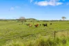 Lot 1 Fitzpatrick Road, Jones Hill, Qld 4570-Image