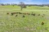 Lot 1 Fitzpatrick Road, Jones Hill, Qld 4570-Image