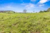 Lot 1 Fitzpatrick Road, Jones Hill, Qld 4570-Image