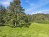 Lot 1 George Gibson Drive, Coopernook, NSW 2426-Image