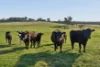 Lot 1 Goldfields Lane, Taylors Flat, NSW 2586-Image
