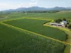Lot 1 Hamleigh Road, Ingham QLD 4850-Image