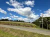 Lot 1 Lorne Road, Walkerston, Qld 4751