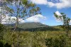 Lot 1 Mayberry Road, Mayberry, Tas 7304