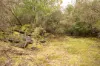 Lot 1 Mayberry Road, Mayberry, Tas 7304-Image