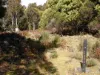Lot 1 Mayberry Road, Mayberry, Tas 7304-Image