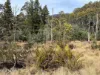 Lot 1 Mayberry Road, Mayberry, Tas 7304-Image