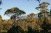 Lot 1 Mayberry Road, Mayberry, Tas 7304-Image