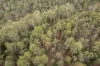 Lot 1 Mayberry Road, Mayberry, Tas 7304-Image