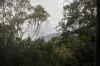 Lot 1 Mayberry Road, Mayberry, Tas 7304-Image