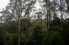 Lot 1 Mayberry Road, Mayberry, Tas 7304-Image