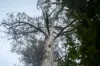 Lot 1 Mayberry Road, Mayberry, Tas 7304-Image