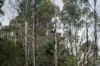Lot 1 Mayberry Road, Mayberry, Tas 7304-Image