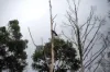 Lot 1 Mayberry Road, Mayberry, Tas 7304-Image