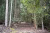 Lot 1 Mayberry Road, Mayberry, Tas 7304-Image