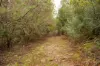 Lot 1 Mayberry Road, Mayberry, Tas 7304-Image