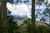 Lot 1 Mayberry Road, Mayberry, Tas 7304-Image