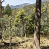 Lot 1 Mayberry Road, Mayberry, Tas 7304-Image
