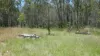 Lot 1 Mud Flat Road, Drake, NSW 2469-Image