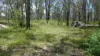 Lot 1 Mud Flat Road, Drake, NSW 2469-Image
