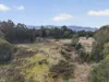 Lot 1 Pitts Road, Moogara, Tas 7140-Image