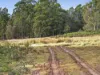 Lot 1 Pitts Road, Moogara, Tas 7140-Image
