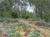 Lot 1 Pitts Road, Moogara, Tas 7140-Image