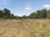 Lot 1 Pitts Road, Moogara, Tas 7140-Image