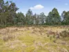 Lot 1 Pitts Road, Moogara, Tas 7140-Image