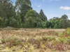 Lot 1 Pitts Road, Moogara, Tas 7140-Image