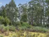 Lot 1 Pitts Road, Moogara, Tas 7140-Image