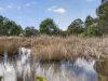 Lot 1 Pitts Road, Moogara, Tas 7140-Image